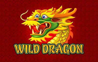 Wild Dragon